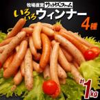 自家製 いろいろウインナー4種ミックス