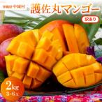 �ӂ邳�Ɣ[�� ���鑺 �y2027�N6�����珇�������E�󂠂�z�썲�ۃ}���S�[2.0kg(3�`6��)