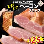 ででかでかベーコンブロック 約2.5kg