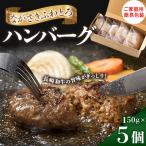 ながさきふわとろハンバーグ 150g×5個入