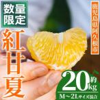 紅甘夏 20kg