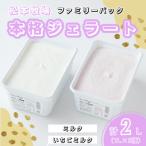 ふるさと納税 佐賀県 【松本牧場】本格ジェラートファミリーセット (1L×2個　計2リットル)(佐賀県)