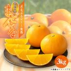 八幡浜産 まどんな3kg