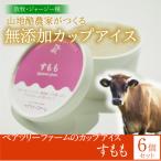 ペアツリーファームのカップアイス 6個セット