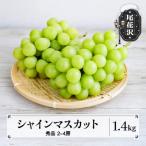 ふるさと納税 尾花沢市 先行予約 シャインマスカット 秀品 約1.4kg 2026年産 sb-busmx1400