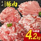 ふるさと納税 都城市 宮崎県産豚肉 満喫セット 4.2kg(都城市)