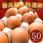 fu.... налог . гнездо город желтый ... черепаха . свежий земля Tama . Queen Ran красный шар 50 штук 