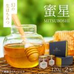 幻の生はちみつ 120g×2本