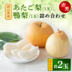 詰め合わせ2玉 箱赤秀 あたご1玉 鴨梨1玉