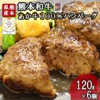 ふるさと納税 小国町 熊本和牛あか牛100パーセント ハンバーグ 計720g(小国町)
