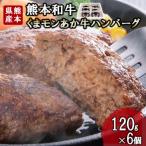 ふるさと納税 小国町 くまモンあか牛 ハンバーグ 120g計6個セット(小国町)