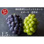 ショッピングふるさと納税 シャインマスカット ふるさと納税 岡山市 【2026年先行受付】厳選　岡山県産　シャインマスカット・ピオーネ詰合せ　計1.5kg以上　2〜3房