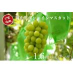 シャインマスカット 2~3房 合計1.6kg以上