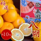 龍王国の八朔 約10kg