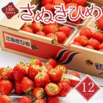 いちご さぬきひめ 約250g