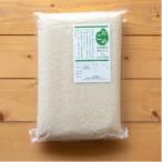 令和8年産ササニシキ 精米5kg 5kg×1袋