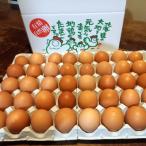 fu.... налог ... блок moligaki сельское хозяйство .. flat .. природа иметь . яйцо 40 штук ( трещина гарантия 10 шт содержит )