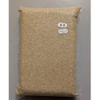 令和8年産ササニシキ 玄米5kg 5kg×1袋