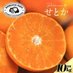 五代目が厳選した 柑橘の大トロ せとか 10kg