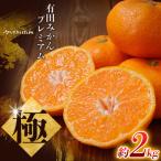 みかん 有田みかん 約2kg