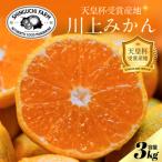 川上みかん 3kg