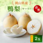 ヤーリー2玉 箱赤秀 YR-10