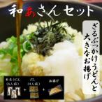 和ぁさんセット ざるぶっかけうどんと大きなお揚げ