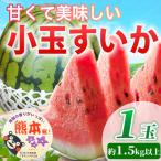 fu.... налог Kikuchi город маленький шар ...1 шар ввод 3L примерно 1.5kg и больше ( Kikuchi город )