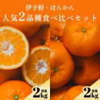 伊予柑+ぽんかん 愛媛 2品種食べ比べ