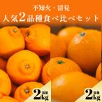 不知火+清見 愛媛 2品種食べ比べ