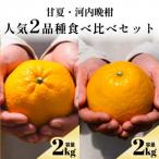 甘夏+河内晩柑 愛媛 2品種食べ比べ