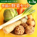 季節の野菜セット 6~7種
