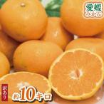 ふるさと納税 松山市 【訳あり】 愛媛みかん約10Kg
