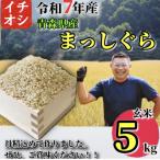 ふるさと納税 十和田市 【令和7年産】青森県産 まっしぐら 玄米 5kg