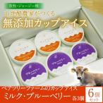 ペアツリーファームのカップアイス 計6個セット