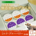 ペアツリーファームのカップアイス 計12個セット