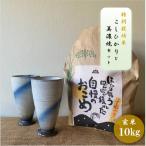 ふるさと納税 多治見市 【令和7年産:玄米】特別栽培米コシヒカリ(10kg)+【美濃焼】青雲かいらぎフリーカップ大(2個)