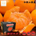 田村みかん 秀品 Lサイズ 約3kg