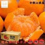 プレミアムブランド 田村みかん Mサイズ