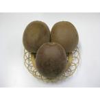 fu.... налог . звук храм город [ предшествующий прием 2026 год ] большой шар ... Angel сладкий киви примерно 700g