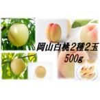 2027年 岡山白桃 晩生2種2玉