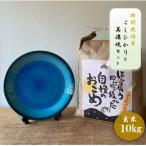 特別栽培米コシヒカリ 10kg