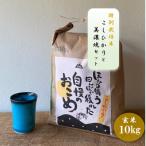 特別栽培米コシヒカリ 10kg