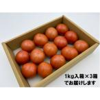 フルーツトマト約3kg 糖度8~10度