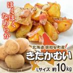R8年産 先行受付 産じゃがいも きたかむい