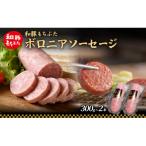 和豚 もちぶた ボロニアソーセージ 300g×2本