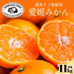 ふるさと納税 八幡浜市 今シーズン発送開始!【訳あり】愛媛みかん 11kg 愛媛県産【C70-136】