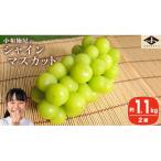 シャインマスカット 約1.1kg