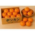 長崎みかん ポンカン 計3kg