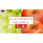 シャインマスカット1房とりんご2玉 詰め合わせ